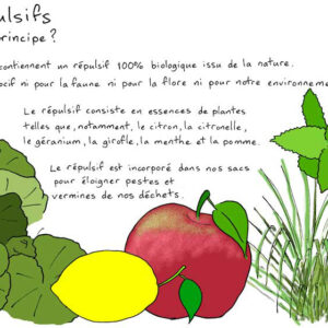 Repellem - à base d'extraits de plantes non toxiques et naturellement répulsives