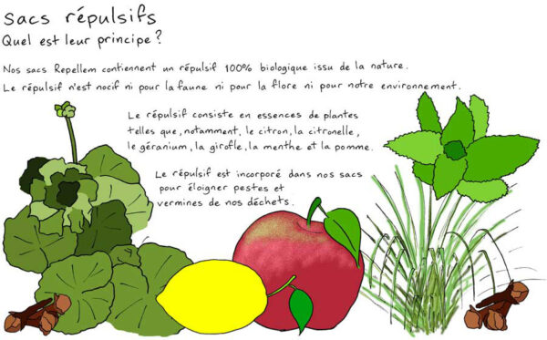 Repellem - à base d'extraits de plantes non toxiques et naturellement répulsives
