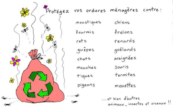 Don't let your household waste be a magnet for all these beasties.