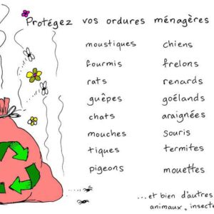 Protégez vos déchets ménagers des nuisibles avec Repellem